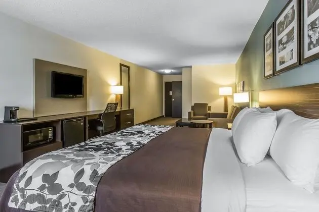 Süit, 1 En Büyük (King) Boy Yatak, Engellilere Uygun, Sigara İçilmez