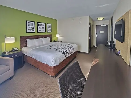 Standard Oda, 1 En Büyük (King) Boy Yatak, Sigara İçilmez (Shower/Bathtub)