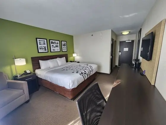 Standard Oda, 1 En Büyük (King) Boy Yatak, Sigara İçilmez (Shower/Bathtub)