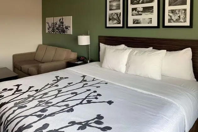 Süit, 1 En Büyük (King) Boy Yatak ve Çekyat, Sigara İçilmez