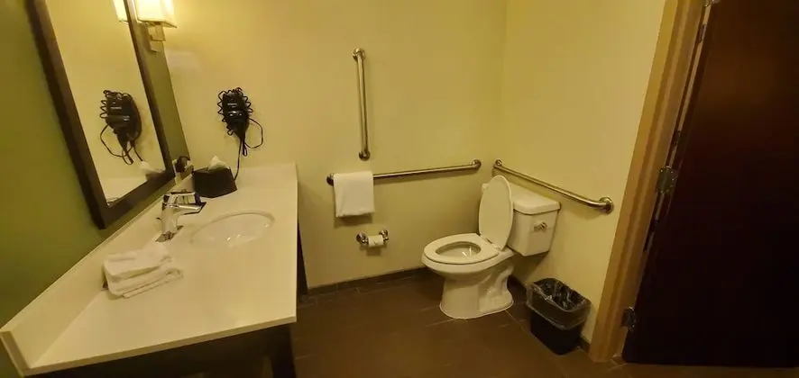 Oda, 2 Büyük (Queen) Boy Yatak, Engellilere Uygun, Sigara İçilmez (Accessible Tub)