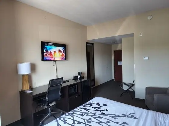 Standard Oda, 1 En Büyük (King) Boy Yatak, Sigara İçilmez