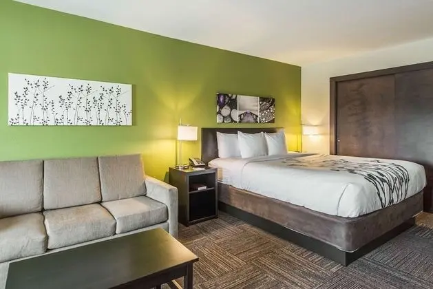 Süit, 1 En Büyük (King) Boy Yatak ve Çekyat, Sigara İçilmez, Sıcak Su Küveti (2 Person Sofa Bed)
