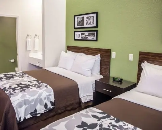 Standard Tek Büyük Yataklı Oda, 2 Çift Kişilik Yatak, Sigara İçilmez