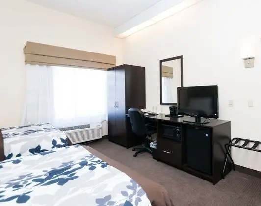 Standard Tek Büyük Yataklı Oda, 2 Çift Kişilik Yatak, Sigara İçilmez