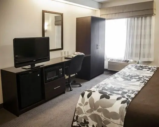 Süit, 1 En Büyük (King) Boy Yatak ve Çekyat, Engellilere Uygun, Sigara İçilmez