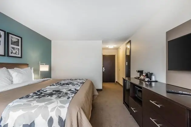Standard Oda, 1 En Büyük (King) Boy Yatak, Sigara İçilmez (Pet Friendly)