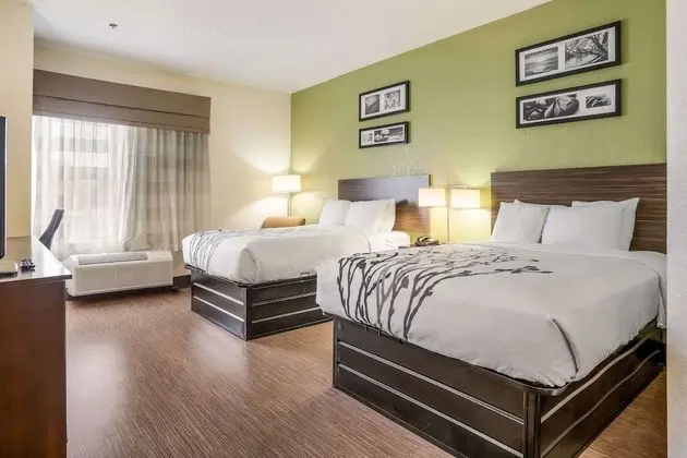 Standard Tek Büyük Yataklı Oda, 2 Çift Kişilik Yatak, Sigara İçilmez