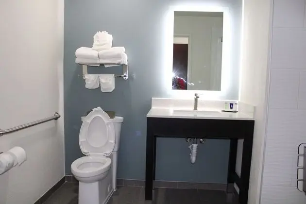 Oda, 1 En Büyük (King) Boy Yatak, Engellilere Uygun, Sigara İçilmez (Mobility, Roll-in Shower)