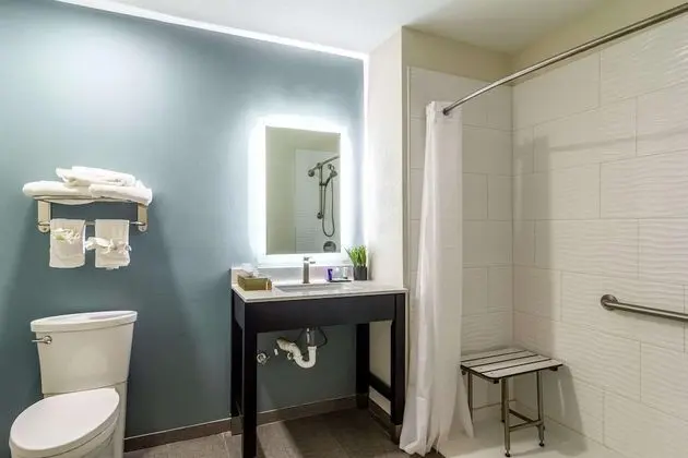Oda, 1 En Büyük (King) Boy Yatak, Engellilere Uygun, Sigara İçilmez (Mobility, Roll-in Shower)