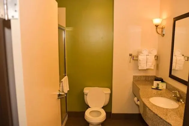 Standard Oda, 2 Çift Kişilik Yatak, Sigara İçilmez (Shower)