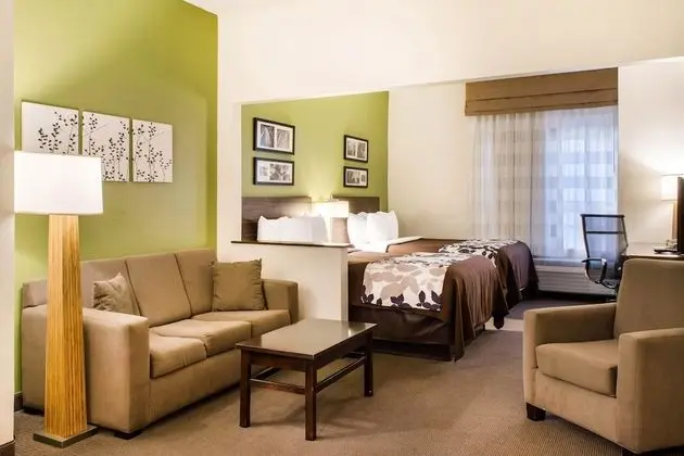 Süit, Sigara İçilmez (2 Queen beds with 2 Person Sofa bed)
