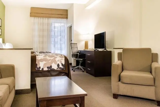 Süit, Sigara İçilmez (2 Queen beds with 2 Person Sofa bed)