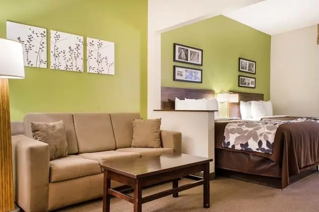Süit, Sigara İçilmez (2 Queen beds with 2 Person Sofa bed)