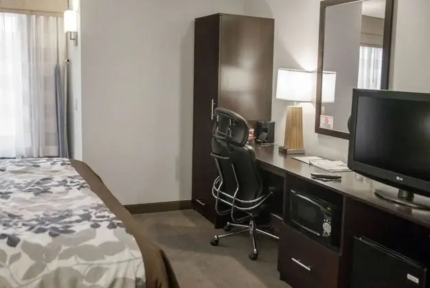 Süit, 1 En Büyük (King) Boy Yatak, Engellilere Uygun, Sigara İçilmez (Mobility, Roll-In Shower)