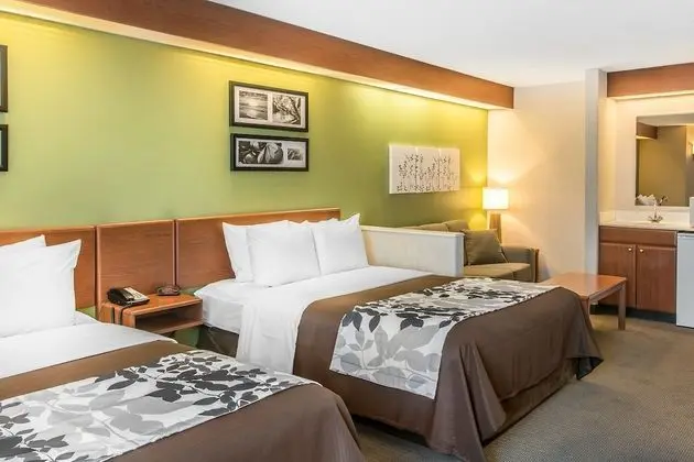 Süit, Birden Çok Yatak, Sigara İçilmez (2 Queen, 2 Person Sofa Bed)