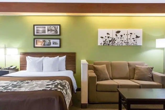 Süit, Birden Çok Yatak, Sigara İçilmez (2 Queen, 2 Person Sofa Bed)