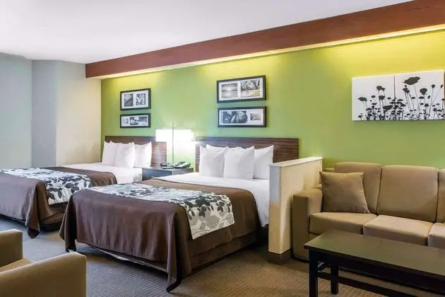 Süit, Birden Çok Yatak, Sigara İçilmez (2 Queen, 2 Person Sofa Bed)