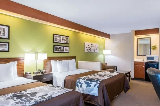 Süit, Birden Çok Yatak, Sigara İçilmez (2 Queen, 2 Person Sofa Bed)