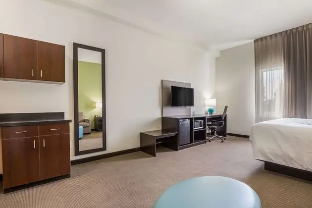 Business Süit, 1 En Büyük (King) Boy Yatak, Sigara İçilmez (Efficiency)