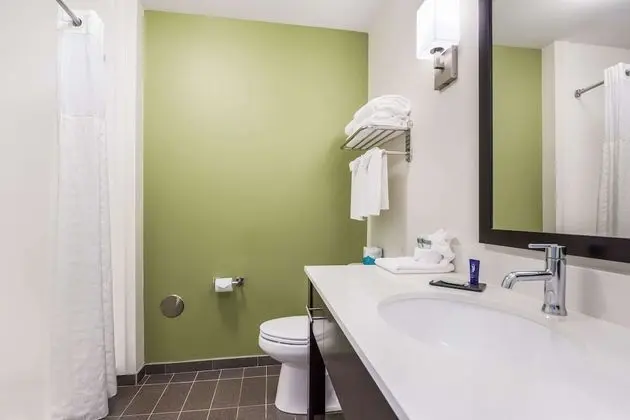 Business Süit, 1 En Büyük (King) Boy Yatak, Sigara İçilmez (Efficiency)