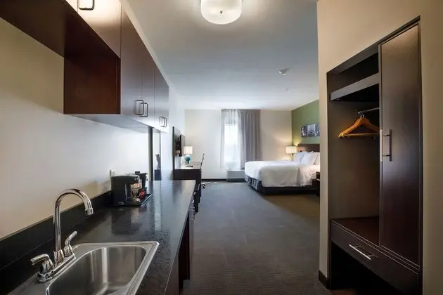 Business Süit, 1 En Büyük (King) Boy Yatak, Sigara İçilmez (Efficiency)