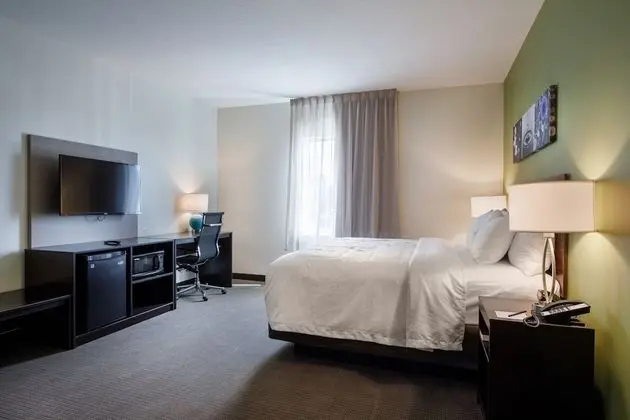 Business Süit, 1 En Büyük (King) Boy Yatak, Sigara İçilmez (Efficiency)