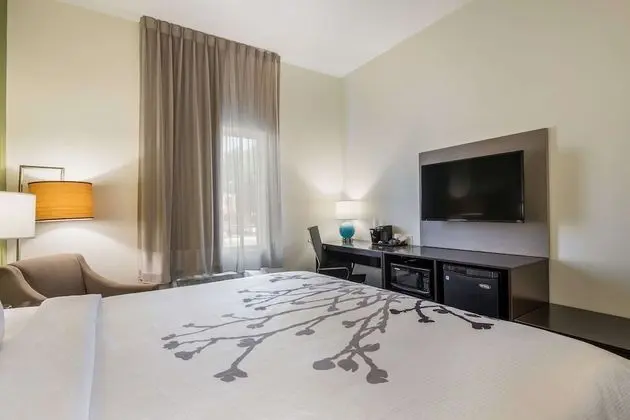 Standard Oda, 1 En Büyük (King) Boy Yatak, Sigara İçilmez