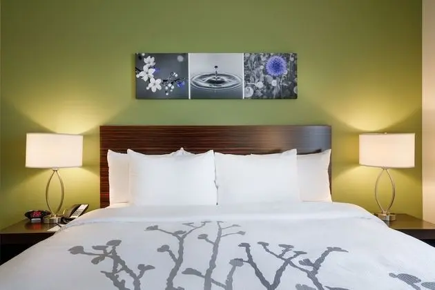 Standard Oda, 1 En Büyük (King) Boy Yatak, Sigara İçilmez