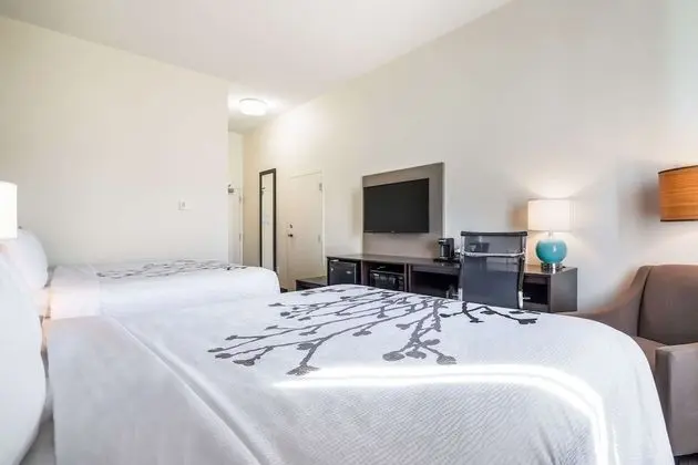 Standard Oda, 2 Büyük (Queen) Boy Yatak, Sigara İçilmez