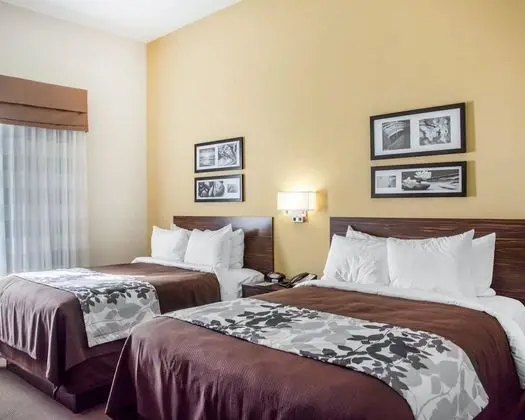 Oda, 2 Büyük (Queen) Boy Yatak, Sigara İçilmez (Pet Friendly)