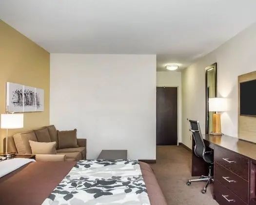 Süit, 1 En Büyük (King) Boy Yatak ve Çekyat, Sigara İçilmez (2 Person Sofa Bed)
