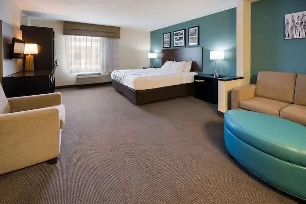 1 King Bed, Suite, Nonsmoking