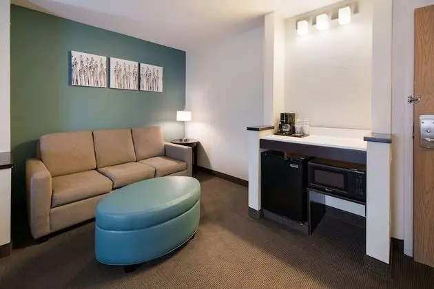 1 King Bed, Suite, Nonsmoking