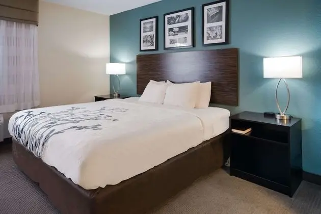 1 King Bed, Suite, Nonsmoking