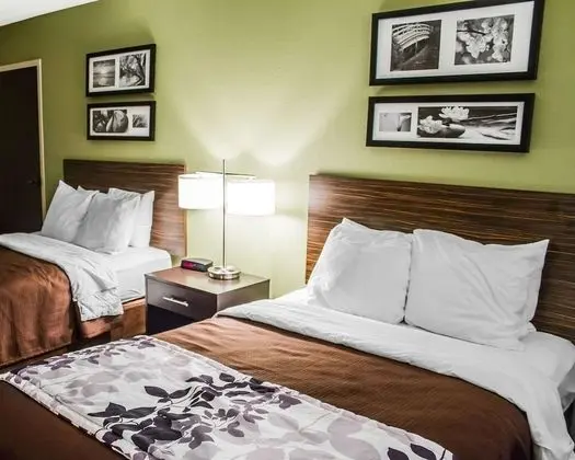 Oda, 2 Çift Kişilik Yatak, Engellilere Uygun, Sigara İçilmez