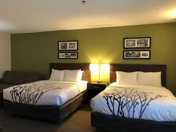 Standard Oda, 2 Çift Kişilik Yatak, Sigara İçilmez (Pet Friendly)