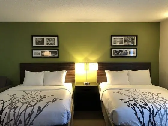 Standard Oda, 2 Çift Kişilik Yatak, Sigara İçilmez (Pet Friendly)