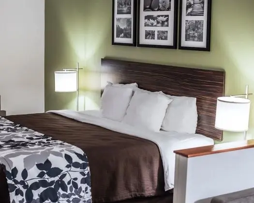 Executive Süit, 1 En Büyük (King) Boy Yatak ve Çekyat, Sigara İçilmez