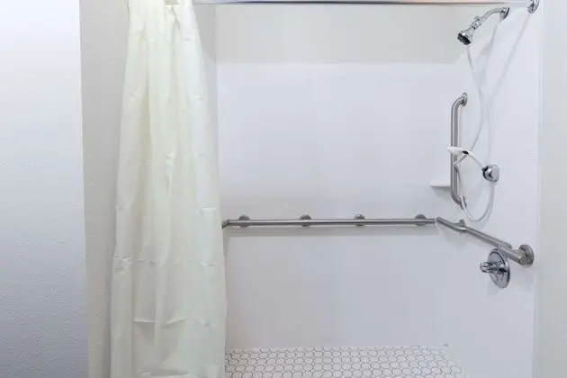 Süit, 1 En Büyük (King) Boy Yatak, Sigara İçilmez (Roll-In Shower)