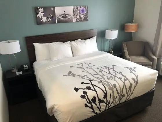 Standard Oda, 1 En Büyük (King) Boy Yatak, Sigara İçilmez