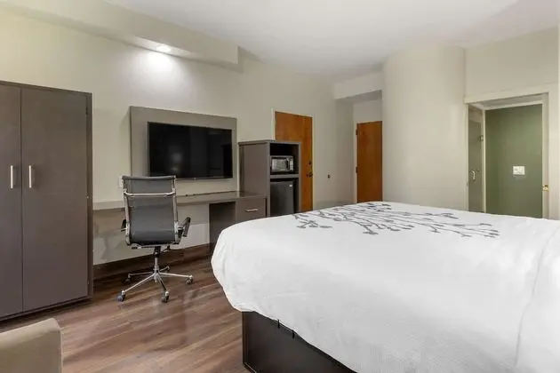 Standard Oda, 1 En Büyük (King) Boy Yatak, Sigara İçilmez