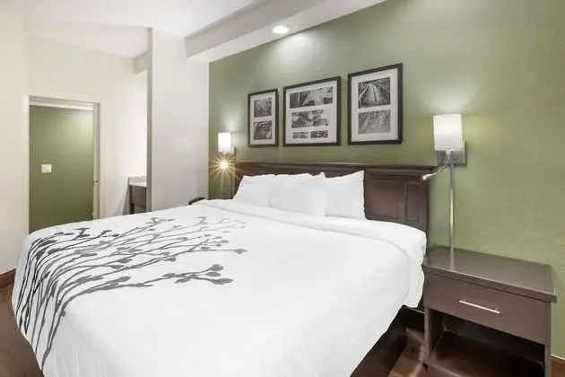 Standard Oda, 1 En Büyük (King) Boy Yatak, Sigara İçilmez