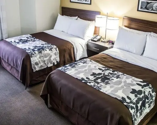 Standard Tek Büyük Yataklı Oda, 2 Çift Kişilik Yatak, Sigara İçilmez