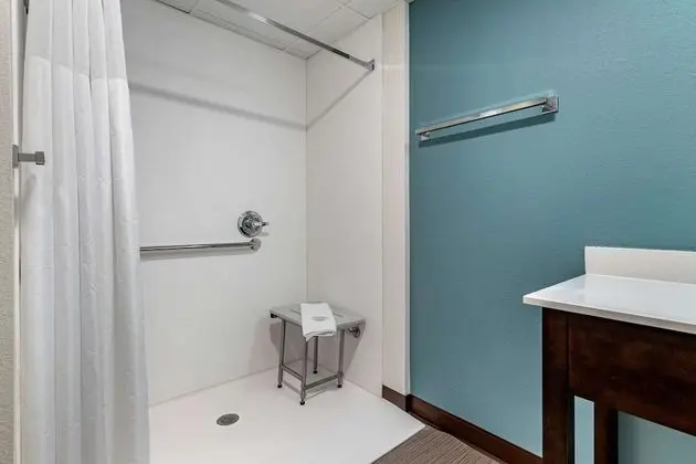 Oda, 1 En Büyük (King) Boy Yatak, Engellilere Uygun, Sigara İçilmez (Roll-In Shower)