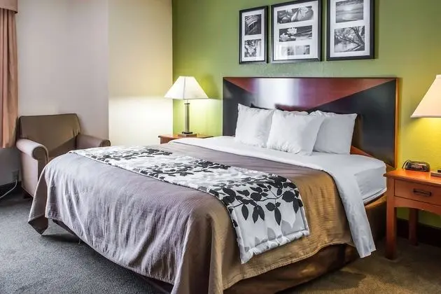 1 King Bed