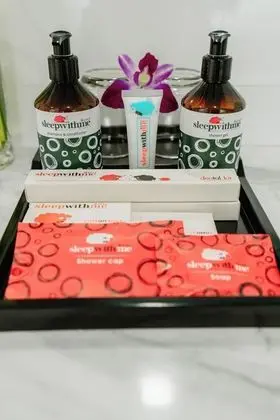 Süit