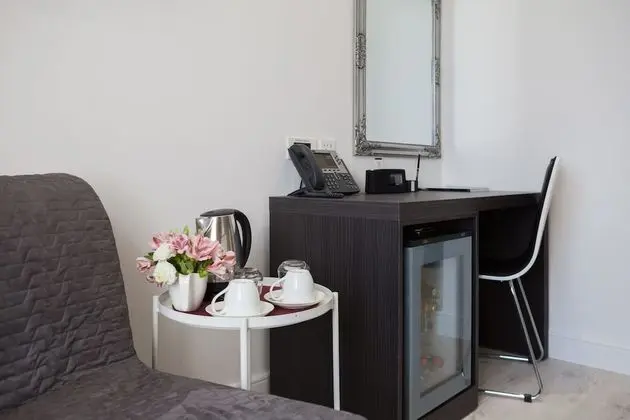 Superior İki Ayrı Yataklı Oda, Şehir Manzaralı