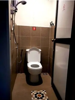 Basic Ortak Ranzalı Oda, Sadece kadınlar için (Single Bed)