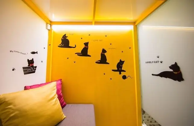 Standard Tek Büyük Yataklı Oda, 1 Çift Kişilik Yatak, Ortak Banyo